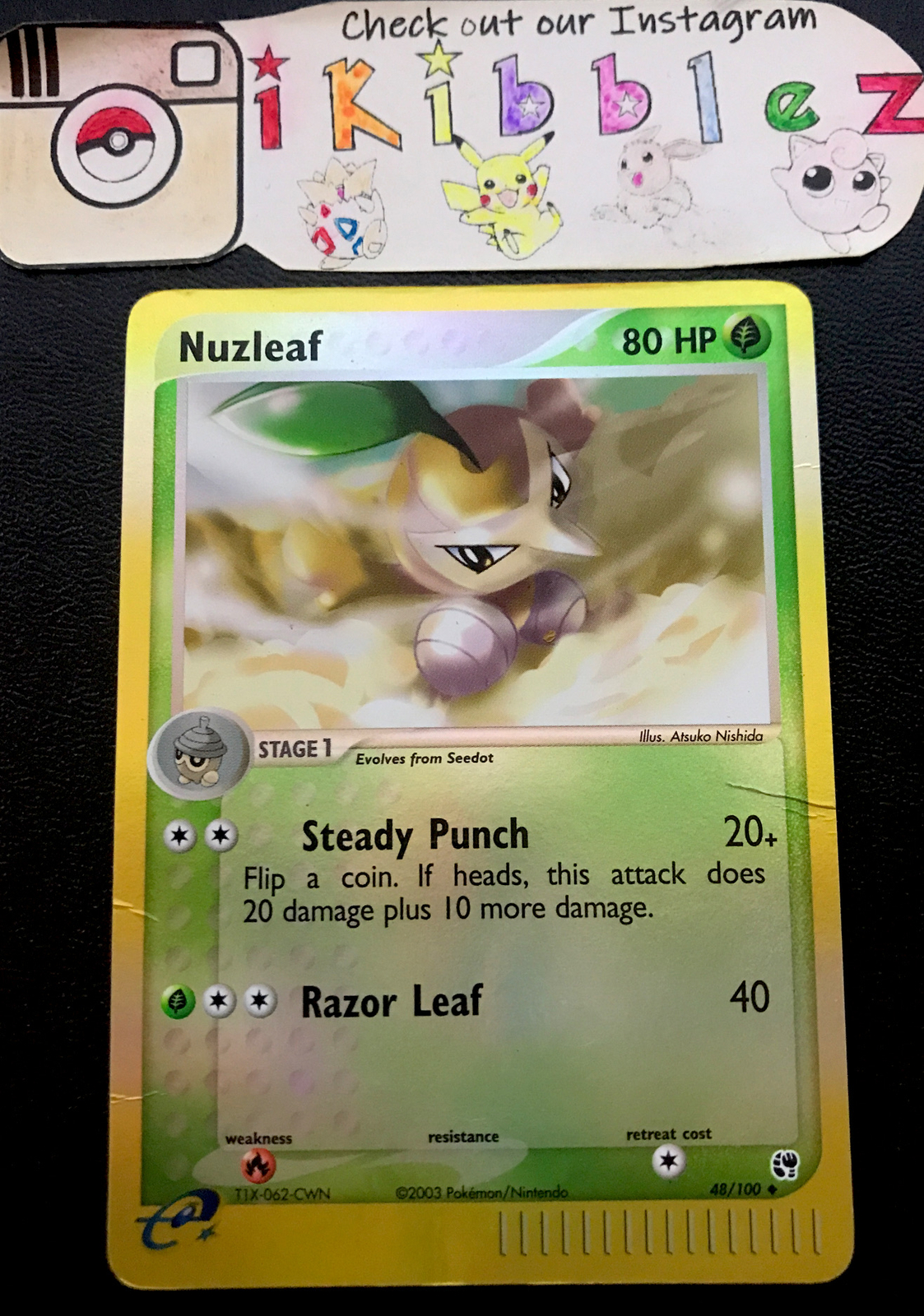 Nuzleaf 48/100 DMG Reverse Holo Foil Pokemon Card. Free Tracked Shipping!