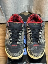 Size 10 - Nike Dunk Premium SB Low SBTG for sale online | eBay