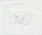 The Twelve Kingdoms Juuni Kokki Genga Douga Original Sketches Pierrot - Youko — photo 2