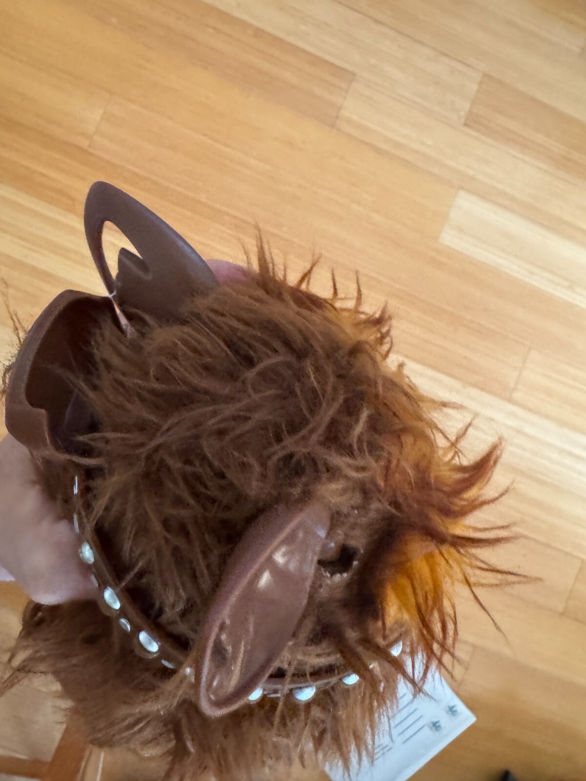 Picture 3 of 6