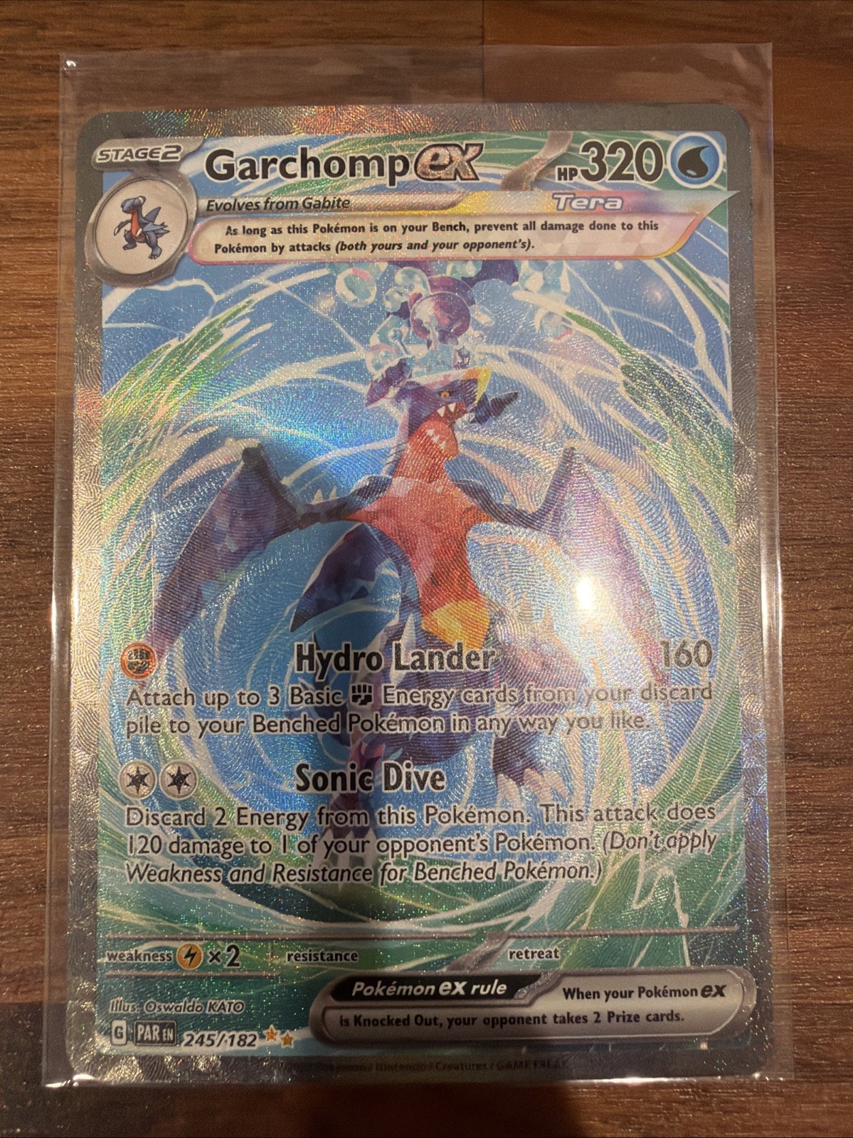 Garchomp ex - Special Illustration Rare SV04: Paradox Rift 245/182 NM