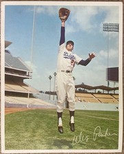 L.A. Dodgers Baseball Wes Parker Litho Print 8x10 Photo First Baseman Gold Glove