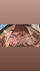 Willow Ridge Women's Long Overcoat with Fur Trim Camel Brown Size 12 — photo 2