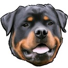 Bild 10 von 20