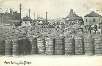 C-1905 Levee Scene New Orleans Louisiana undivided Postcard 20-2003