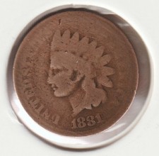  on The Hot Collector