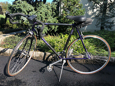 1995 Trek Carbon ZX Series Purple/Black Frame Road Bike - 2100 