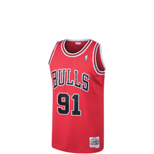 rodman swingman jersey