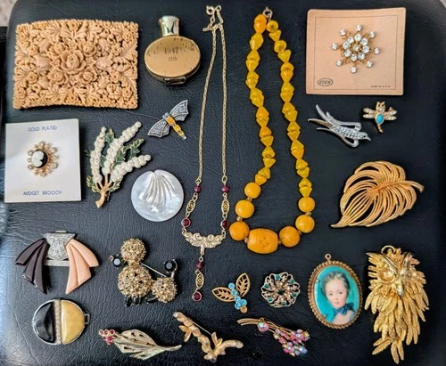 Jewelry Mid-Century/Vintage/Art Deco Jewelry Estate Bakelite Insects Bird Pins