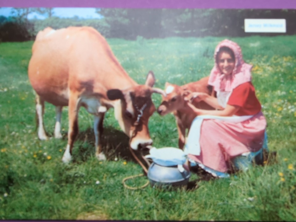 Postcard Vintage Jersey Milkmaid Jersey Channel Islands Continental