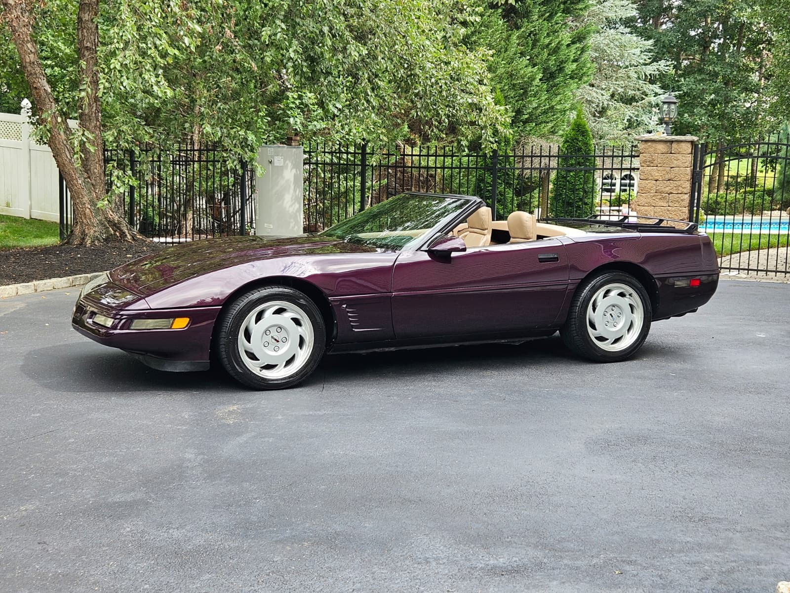 1992 Purple Chevrolet Corvette   | C4 Corvette Photo 2