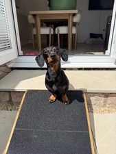Image of 16cm H x 40cm W x 40cm L base - Outside Pet Ramp