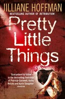 Pretty Little Things | Jilliane Hoffman | Englisch | Taschenbuch | 2012