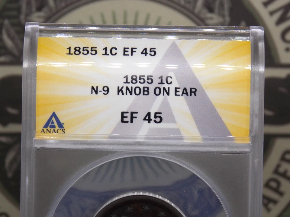 1855 Braided Hair Large Cent *KNOB on EAR* N-9 1c ANACS EF45 XF #916 Extra Fine - Image 4 of 4