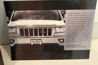 NEW w/ BOX STRIPED BASS FISH Grillie Ornament Antique Nickel Auto Truck Car Hood — photo 6