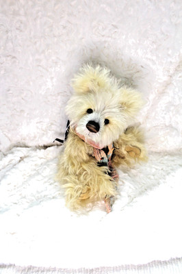 Charlie Bears Anniversary JONESY