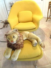 Vintage Steiff Lion Leo The Lion Ear Tag Front Paws to Tail Tip About 32" NICE