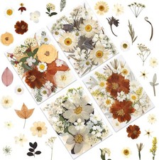 80 Pcs Dried Flowers for Crafts, Real Natural Dried Pressed Flowers in Soft Y...