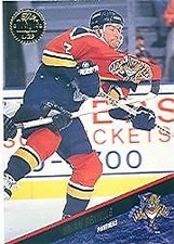 1993-94 Leaf #328 Brian Benning - NM