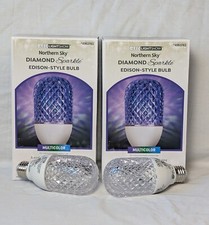 Gemmy LED Northern Sky Diamond Sparkle Christmas Multicolor Edison Bulb