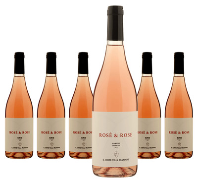 6 x Il Conte Villa Prandone Rosè & Rose   2024