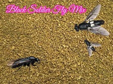 Black Soldier Fly Crumbles/.05 HP Fry Food Fish Food Mix Guppy Tetras A467