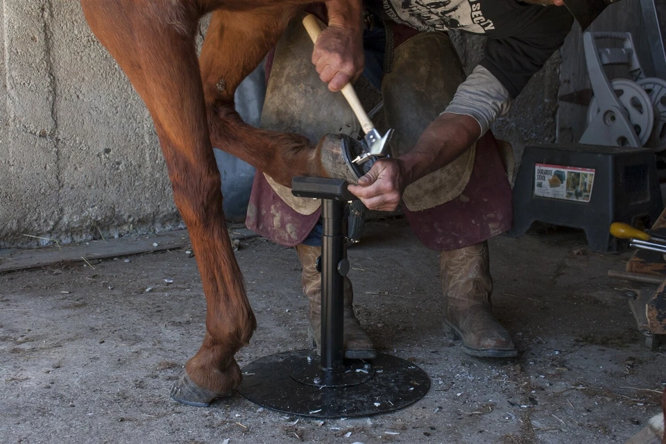 Farriers Professional Adjustable Hoof Stand - Image 2 of 4