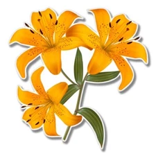 Lily Flowers Car Laptop Phone Vinyl Sticker  - SELECT SIZE