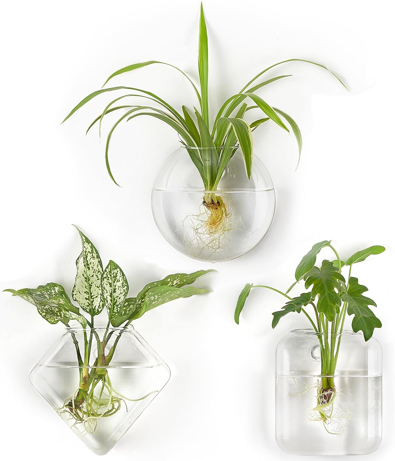 Wall Planter Propagation Stations Hanging Glass Terrariums Vase Container Plants