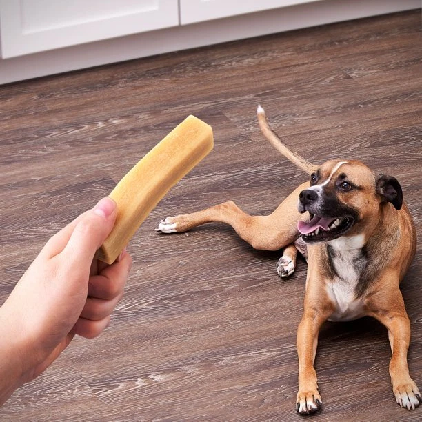 Are Munchy Bones Good For Dogs