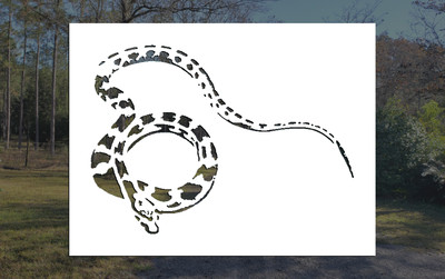 Corn Snake Reusable Stencil (Many Sizes)