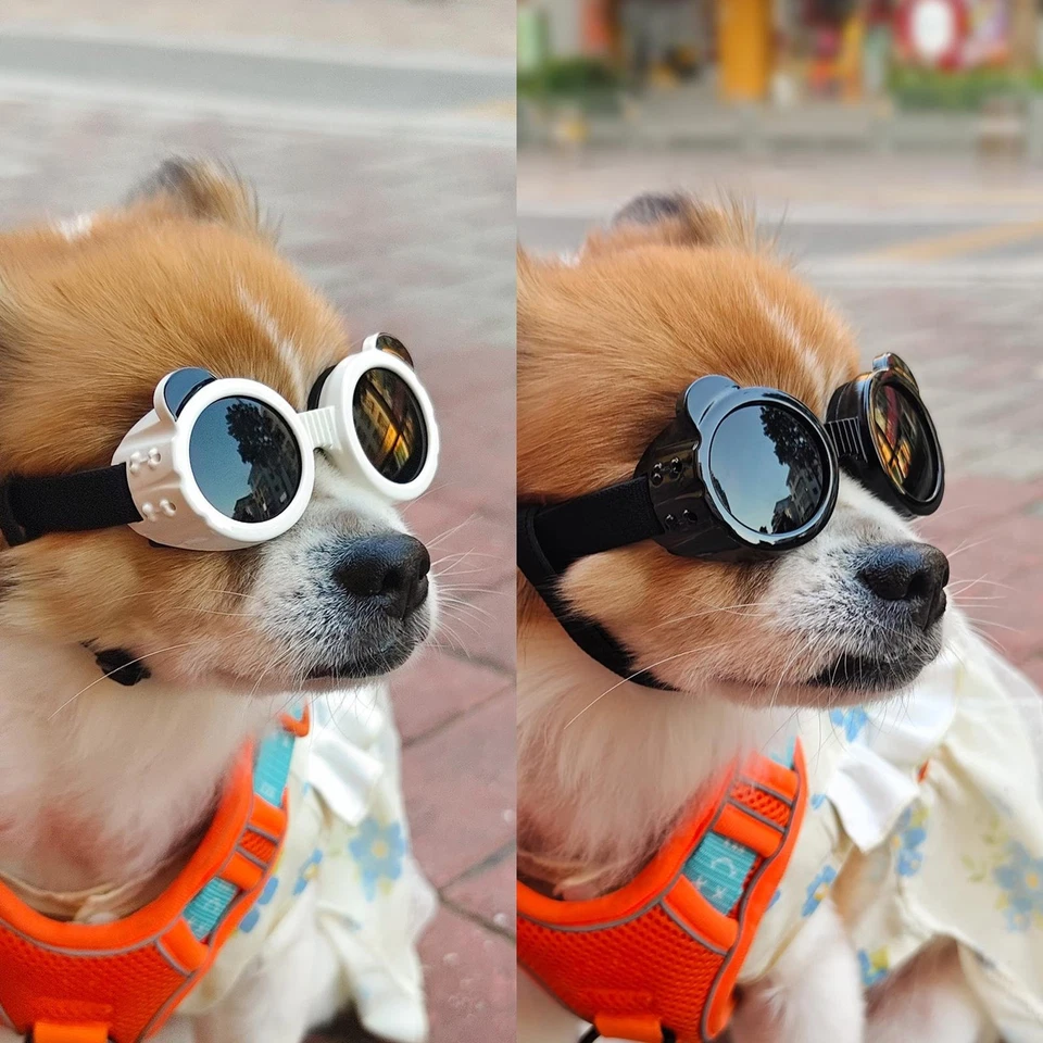 Очки солнцезащитные для домашних животных собак прозрачные линзы защита глаз от ультрафиолета для маленьких средних пород - Изображение 4 из 4