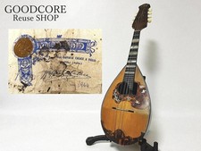  Junk item Raffaele Calace 1964 Mandolin 27 ribs