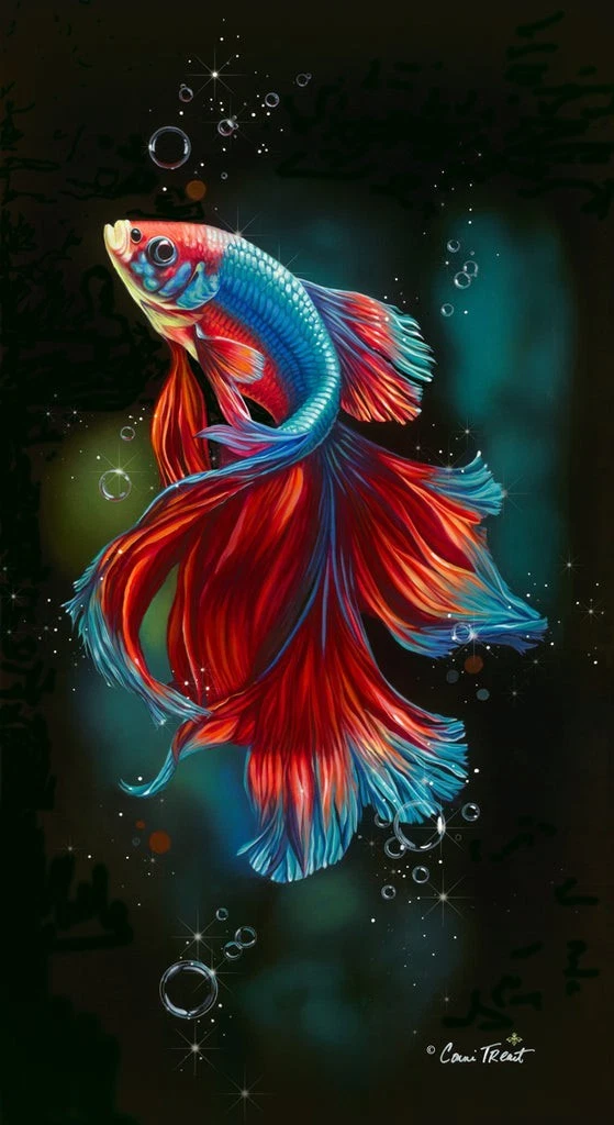 Absolutely Splendid Betta in Blue, Conni Treant, Wall Art Print Poster 14" x 11"
Opens in a new wind