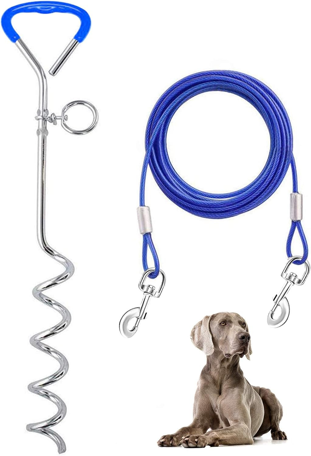 Set Fissaggio Cani Esterno Acciaio Inossidabile | Qualità Professionale