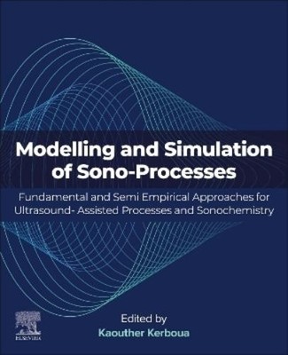 Kaouther Kerboua Modeling and Simulation of Sono-Processes (Taschenbuch)