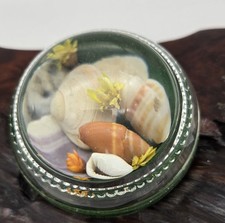 Glass Shell Paper Weight Vintage  Beach Nautical
