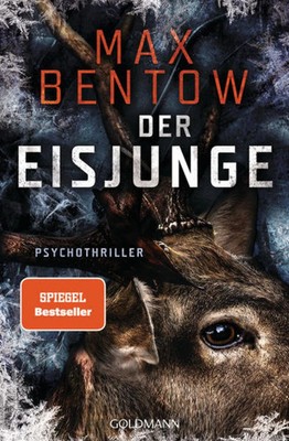Der Eisjunge Psychothriller