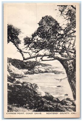 c1940s Cypress Coast Trees Drive Monterey County CA Posted Vintage Postcard