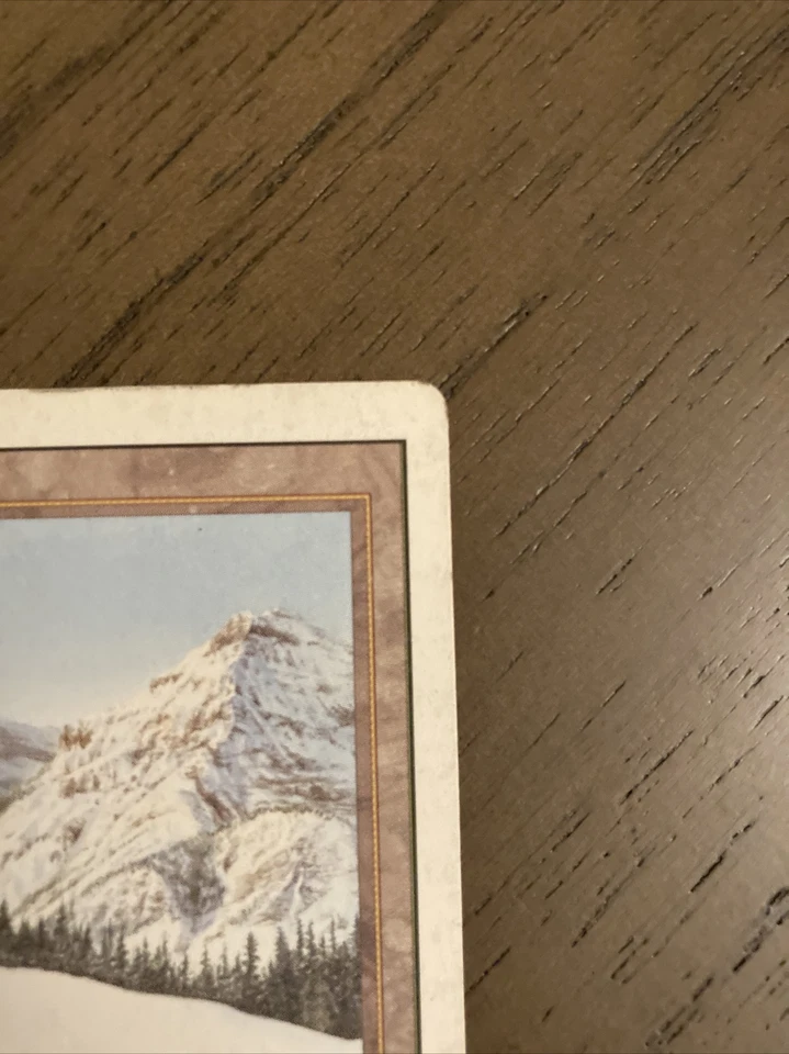 1x Taiga MTG **LP/MP (Revised, English) - Image 4 of 4