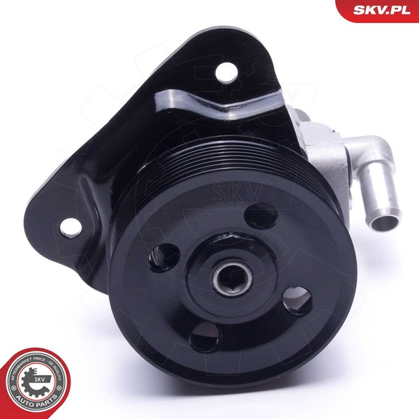 Esen SKV Hydraulikpumpe, Lenkung 10SKV310 FüR Land Rover-image