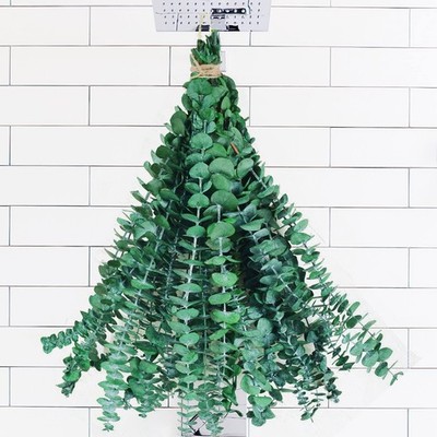 10Pcs Dried Eucalyptus Stems for Shower 17'' Real Natural Hanging Eucalyptus Stem