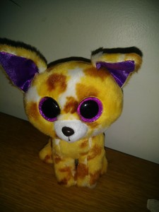 pablo the chihuahua beanie boo