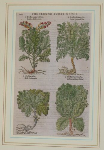 Appendialbero Foppapedretti - Appendiabiti Da Parete Modulare, Design Naturale