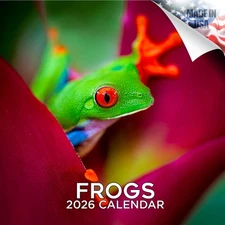 Frogs Calendar 2026 FULL SIZE 12x24 Made in USA