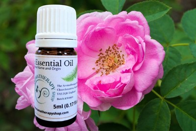 Persische Rose Otto reines ätherisches Öl