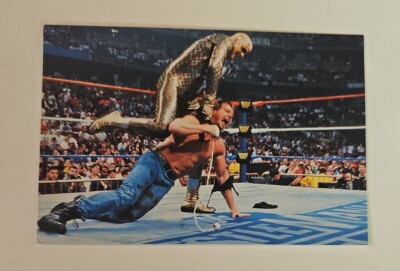 Wrestlemania 12 Goldust Vs Rowdy Roddy Piper Comic Image Card