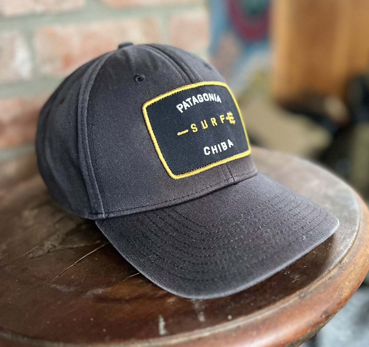 patagonia Trucker Hat CHIBA