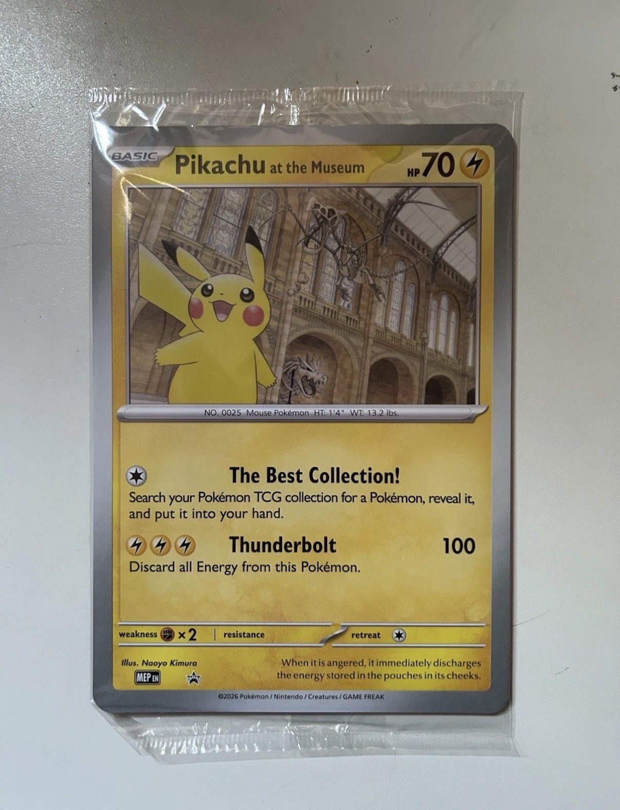 Pokemon TCG Pikachu At The Museum Jumbo Promo Card 2026 - Sealed - New