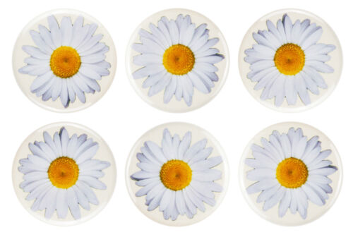 Flower Fridge Magnets - 32mm (1.25") - Rose, Sunflower, Daisy, - Gift & Kitchen - Picture 6 of 9